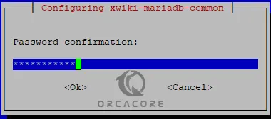 Confirm XWiki password