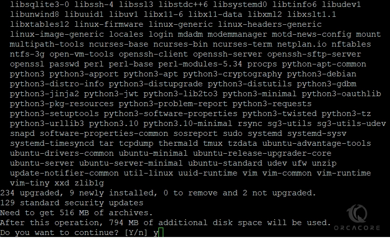 Update Ubuntu 22.04 System For Upgrading Process To Ubuntu 24.04