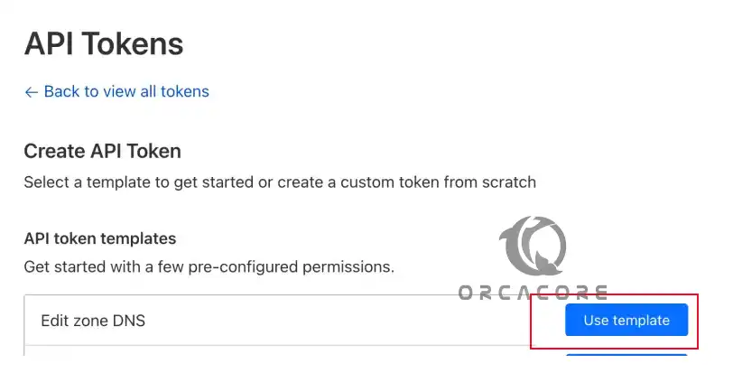 Edit Zone DNS Template on Cloudflare