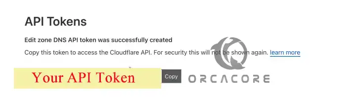 DNS API Token on Cloudflare - Use Let's Encrypt Private Network SSL with Cloudflare