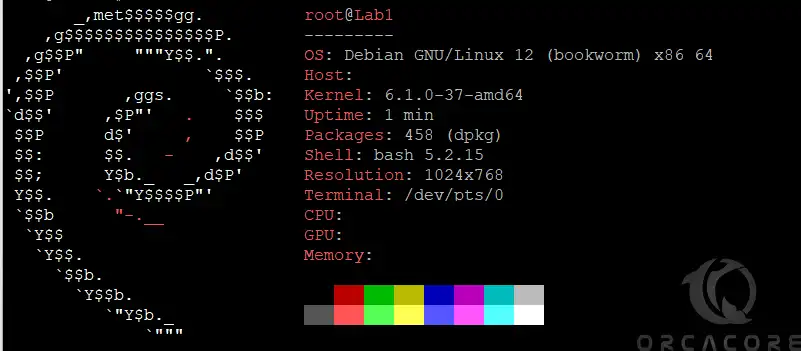 Check Debian 12 OS version