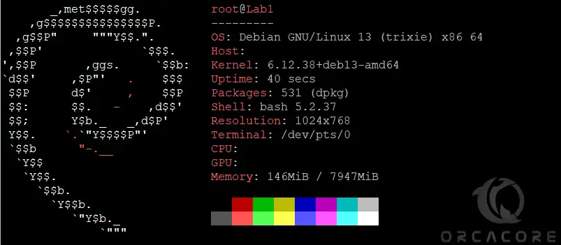 Debian 13 Trixie OS version