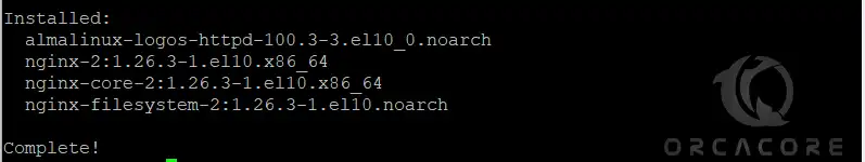 Install Nginx on AlmaLinux 10
