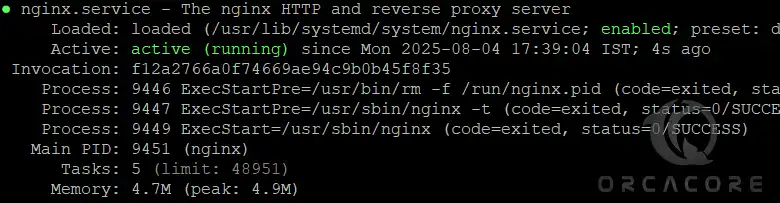 Check Nginx Service status on AlmaLinux 10