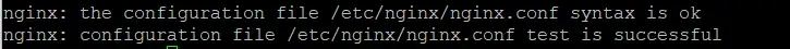 Check for Nginx Syntax error on AlmaLinux 10