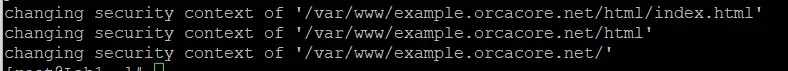 allow custom document root to be served as HTTP content