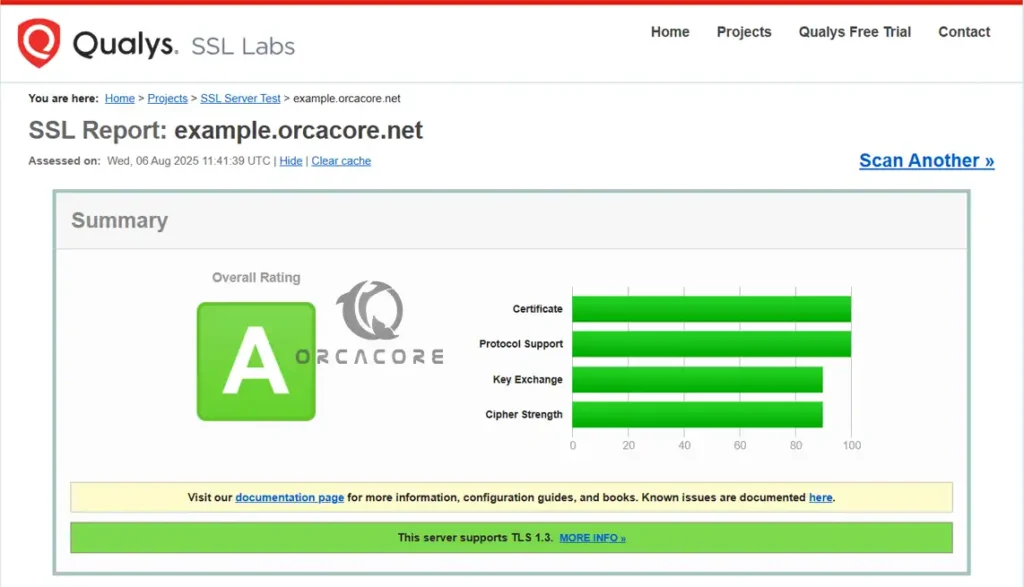 Get SSL Report from SSL Labs