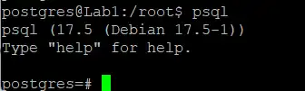 Access Postgres Shell 