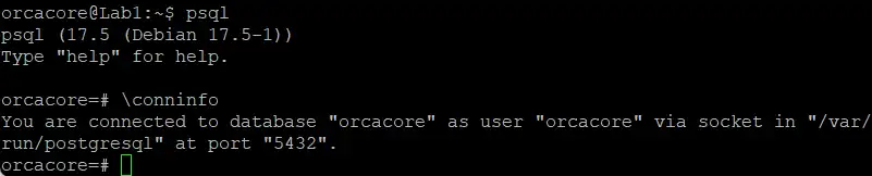 Run Postgres Shell with New Role