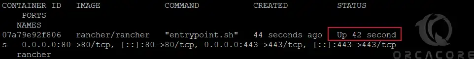 Verify Rancher container is up and running
