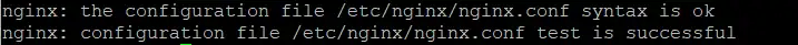 Confirm Nginx for any syntax errors